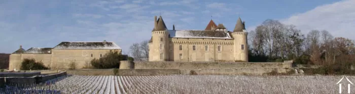 Un GRANDIOSE 2023 image-1