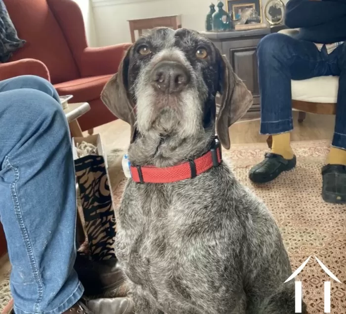 Benjamin Haas, le gerant de la agence image-4