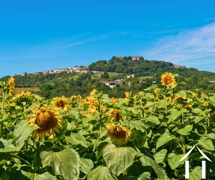 Newsletter été 2025 image-1