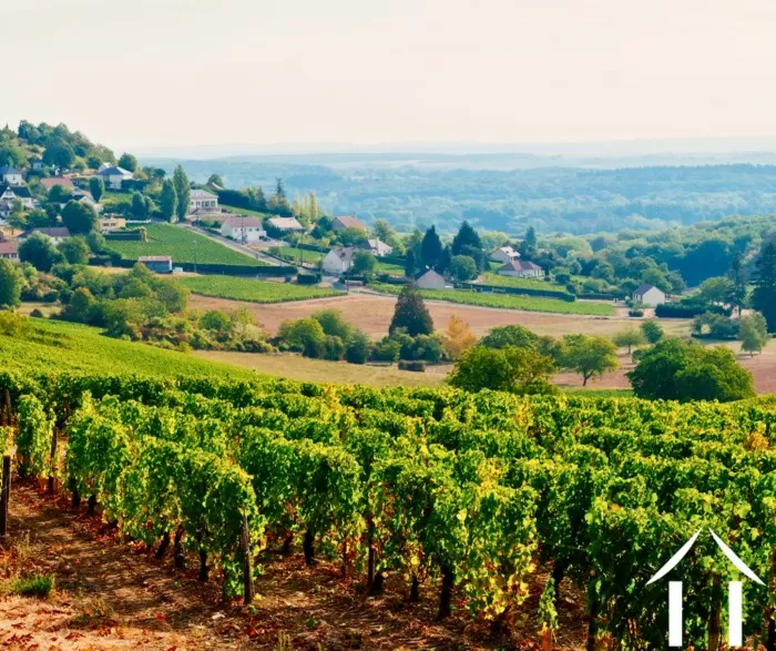 ZOOM REGIONAL image-3